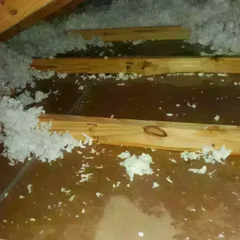 Attic Water Damage in Clio, MI