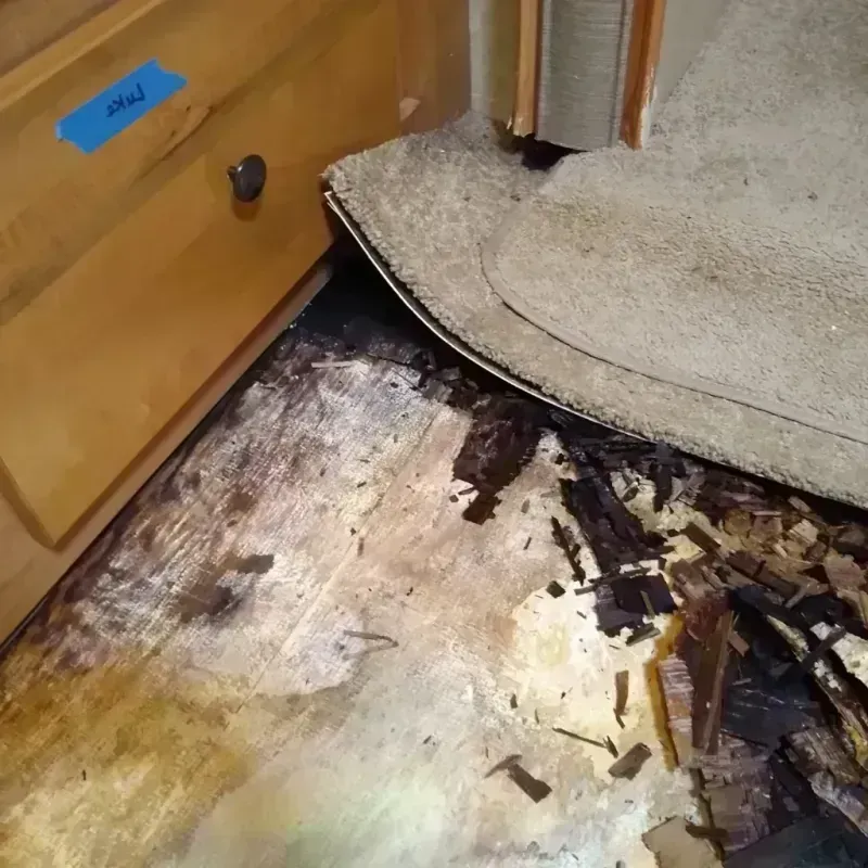 Wood Floor Water Damage in Clio, MI